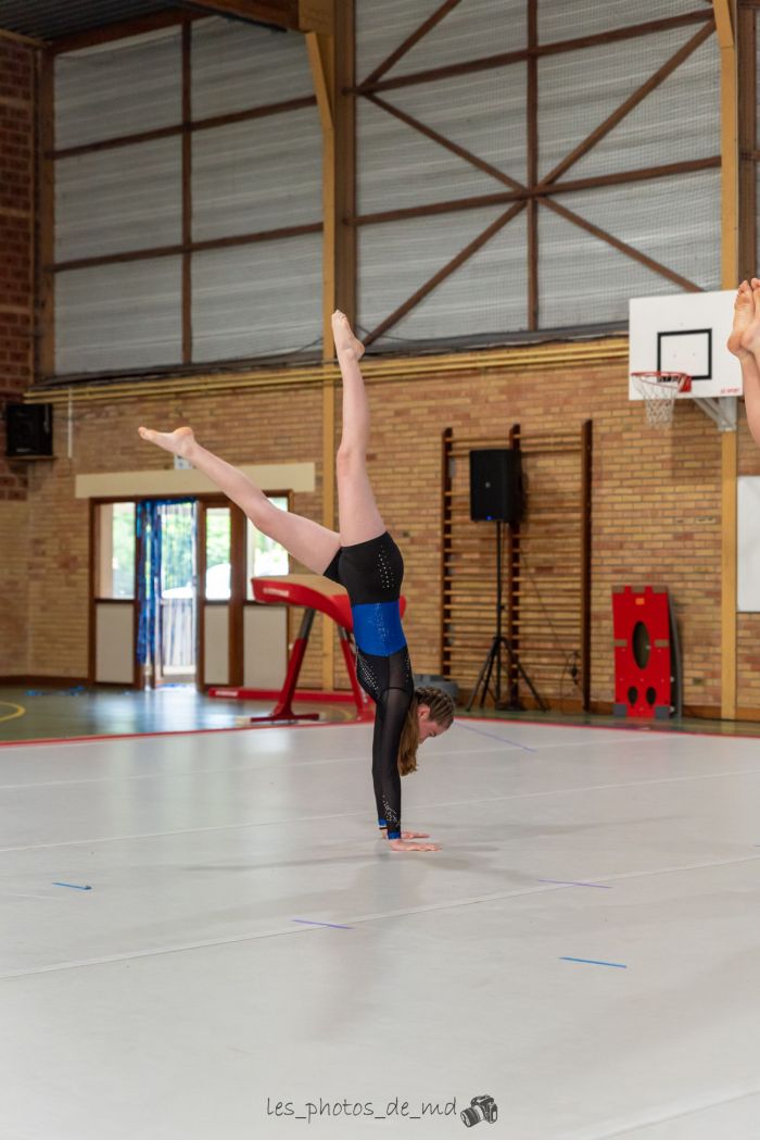 Fête de la gym des compétitifs  