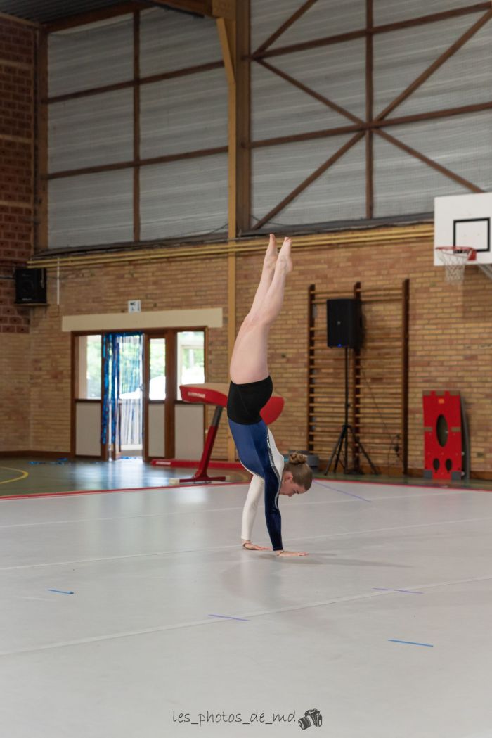 Fête de la gym des compétitifs  