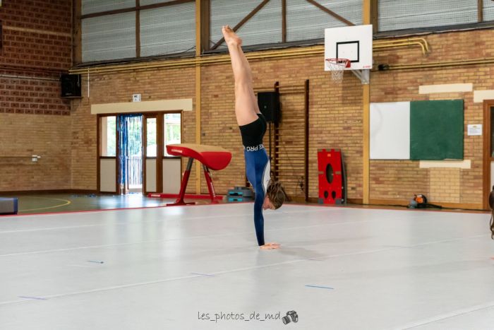 Fête de la gym des compétitifs  